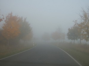 Herbst Nebel Straße